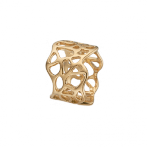  Nature of Light, goldpl silver