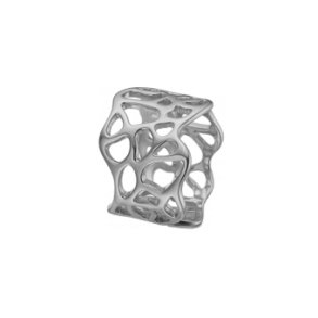  Nature of Light, silver