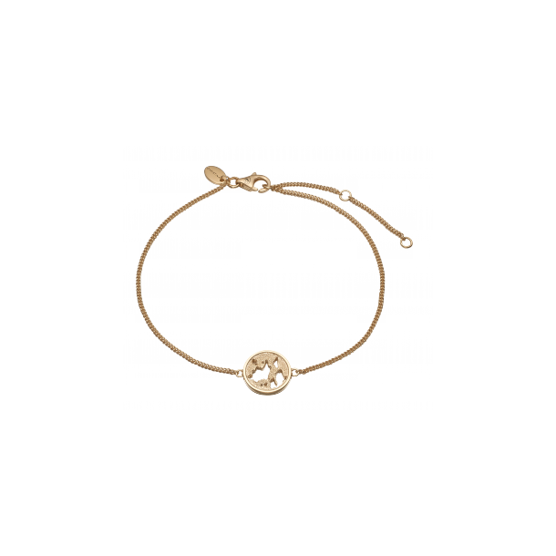  The World bracelet, goldpl silver