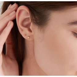 14kt Gold Disc Stud - Guld �restik