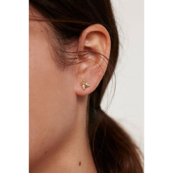 BUZZ EARRINGS - Forgyldt �restik