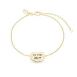 Carpe Diem armbnd