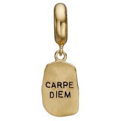 Carpe Diem Charms FG slv