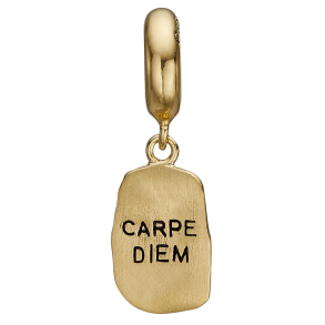 Carpe Diem Charms FG slv