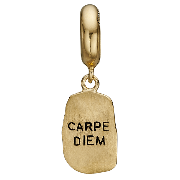 Carpe Diem Charms FG slv