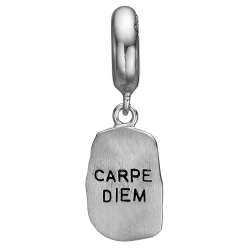 Carpe Diem Charms FG slv