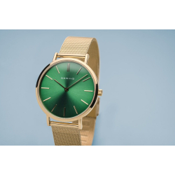 Classic | poleret guld | 14134-338