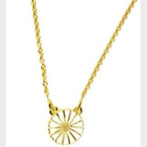 Marguerit Collier 902011-1-M