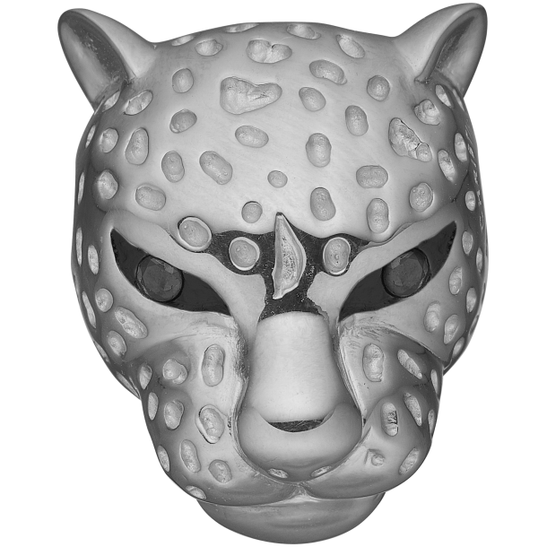 Connection Leopard