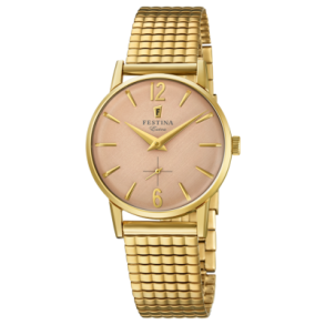 Festina Vintage FG Flex