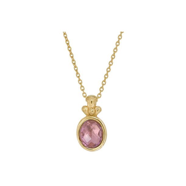 Forgyldt collier - Hope lilla