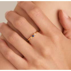 Gold Lapis Star Adjustable Ring - Forgyldt Ring