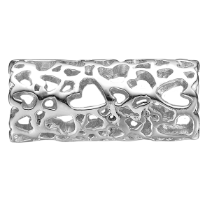 Hearts Universe Charms slv Petit