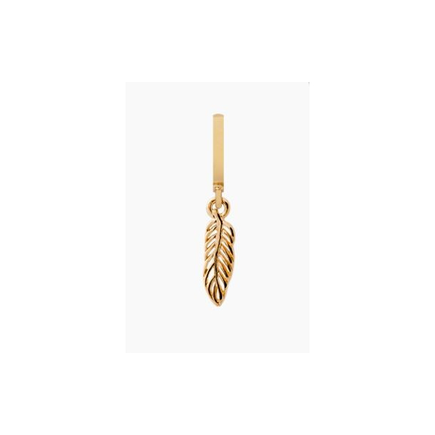 Indian Feather