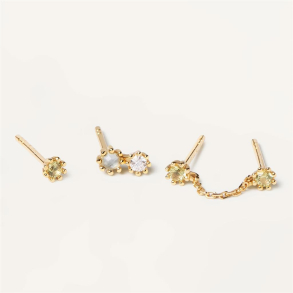 KARA EARRINGS - Forgyldt �restiks