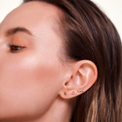 LA PALETTER EARRINGS - Forgyldt �restik