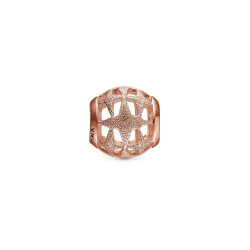 My Sparkling Star    Rosa FG