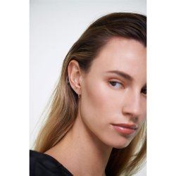 OMBR&Eacute; EARRINGS - Forgyldt �rering