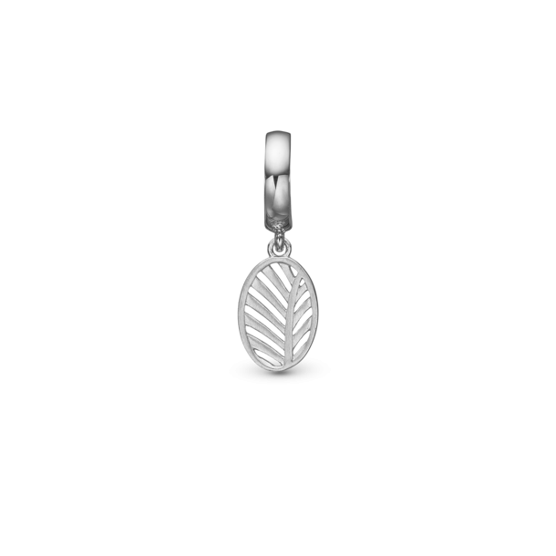 Palm