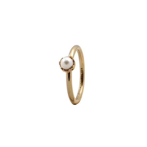 Pearl Flower 2,2