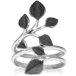 Ring - Chaotic Poetry