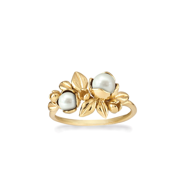 Ring - Inner Secret-Fg