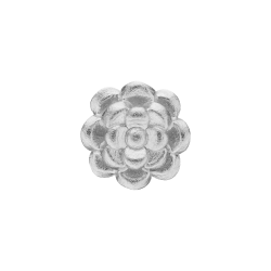 Roses restikke Forg.