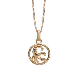 SKORPION Vedhng 	23. oktober &ndash; 22. november