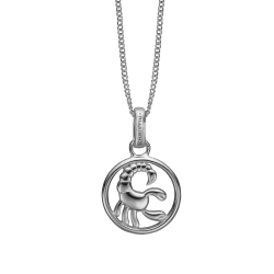 SKORPION Vedhng 	23. oktober &ndash; 22. november