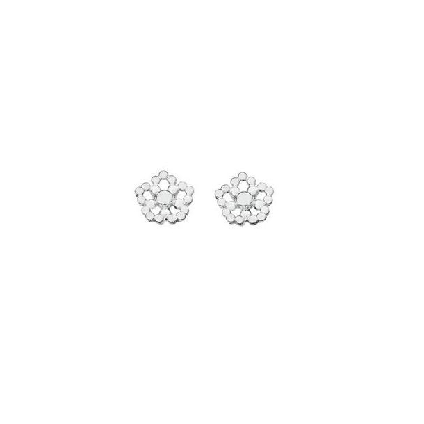 Snow flake_1
