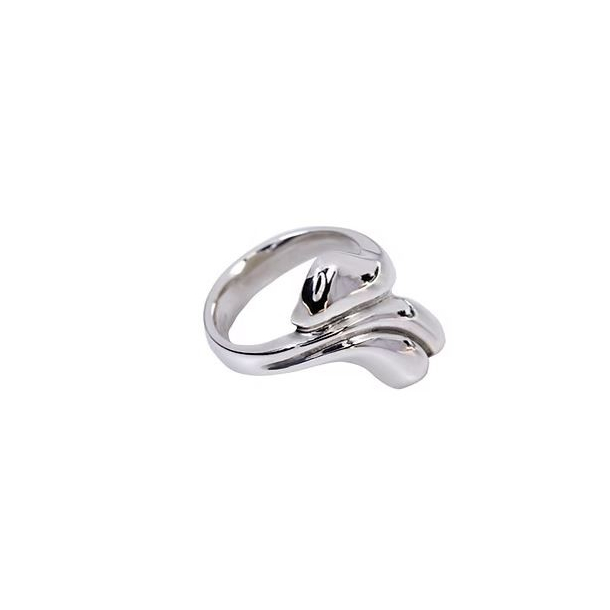 Slvring 508