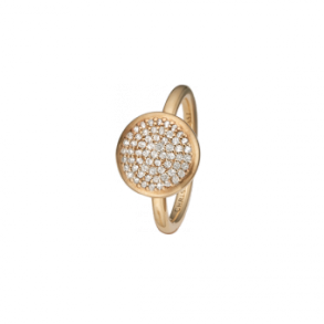 Sparkling World, goldpl silver