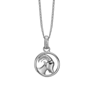 STENBUK Vedhng 	22 december – 19 januar