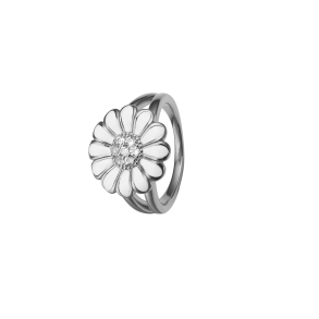 Topaz Big White Marguerite