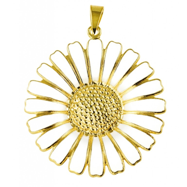 Marguerit Vedhng 908036-M