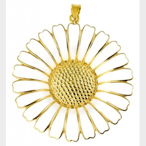 Marguerit Vedhng 908043-M