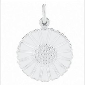 Marguerit Vedhng 908018-H