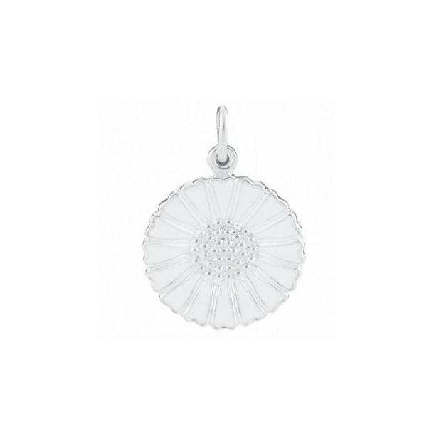 Marguerit Vedhng 908018-H